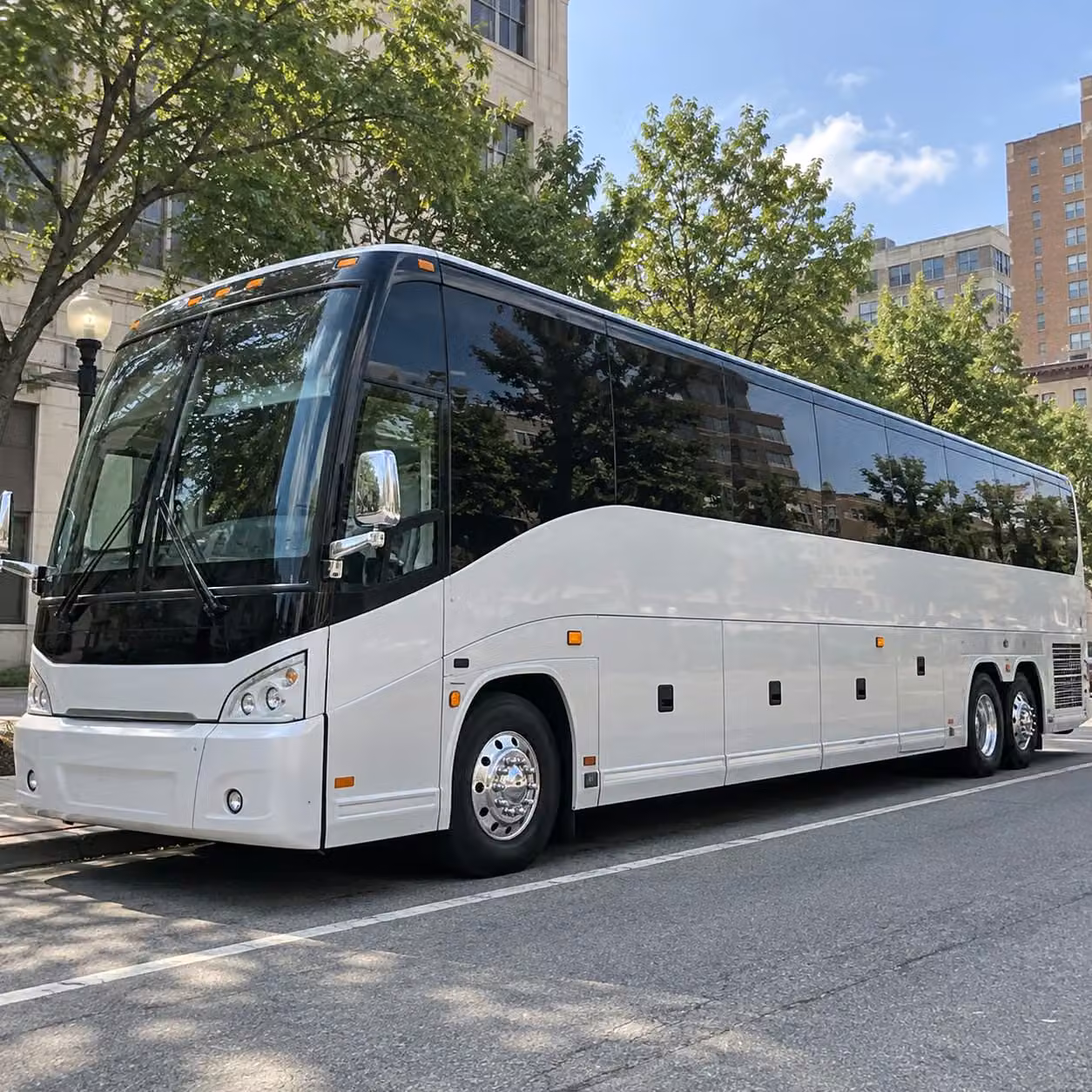 charter bus rentals to trenton thunder games at arm hammer park